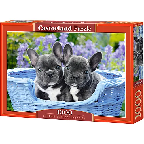 Castorland Puzzle French Bulldog Puppies (1000Teile)