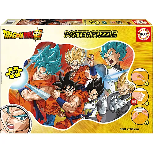 Dragonball mit Poster 250Teile
