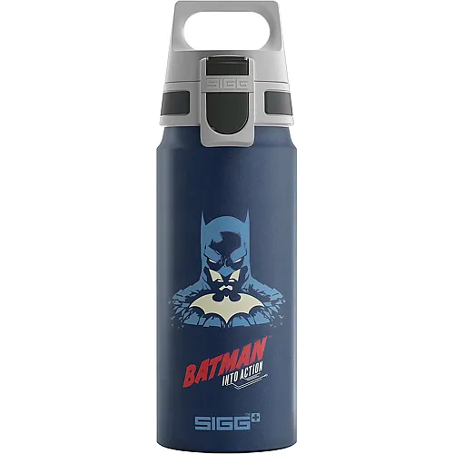 Trinkflasche Batman Into Action Blau 600ml