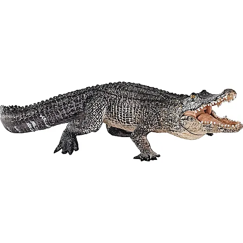 Alligator mit beweglichem Kiefer