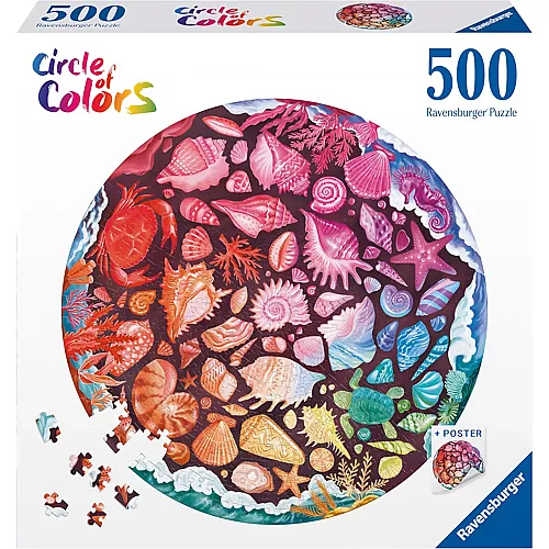 Seashells 500Teile
