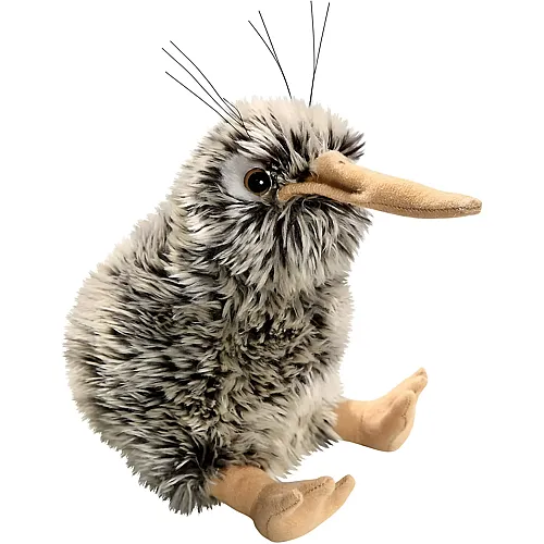 Kiwi - 15 cm