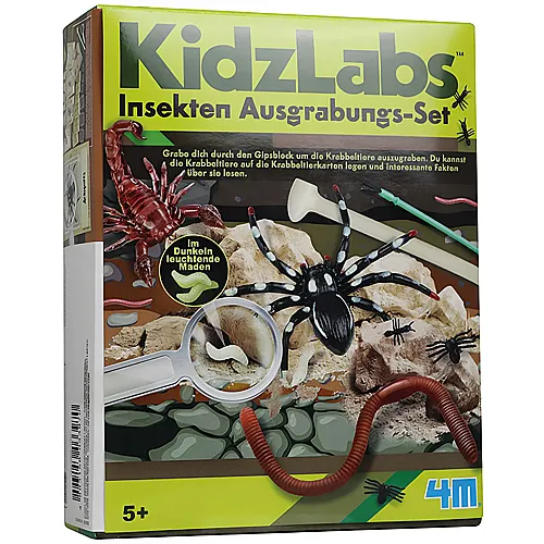 4M KidzLabs Insekten Ausgrabungs-Set