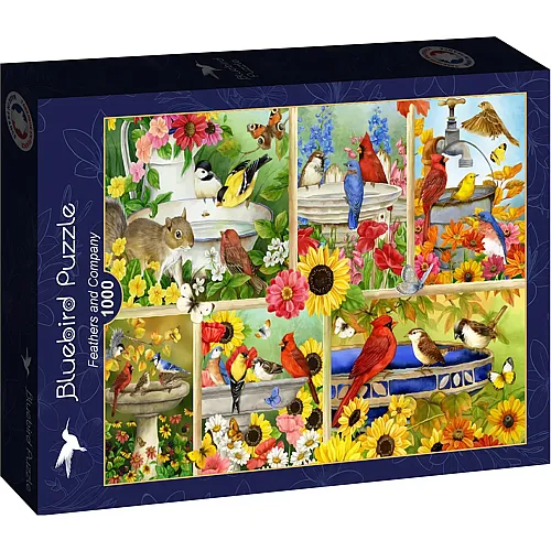 Bluebird Puzzle Federn und Company - 1000 Teile