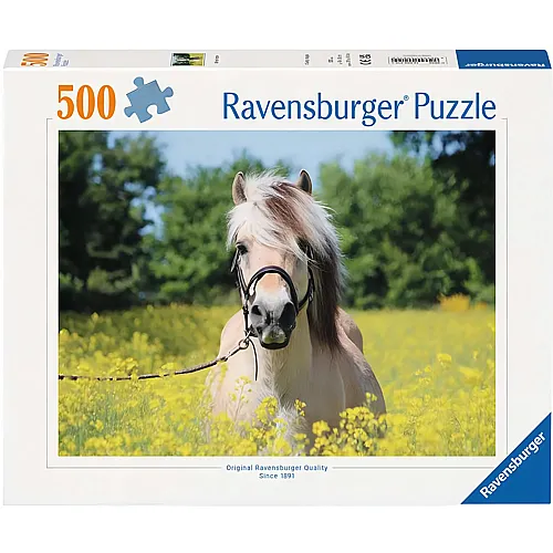 Pferd im Rapsfeld 500Teile