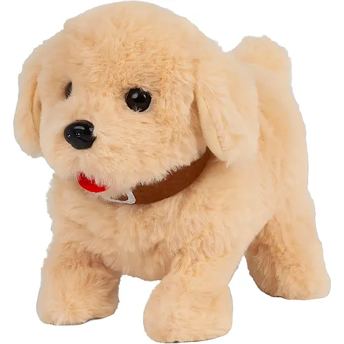 Flippin Puppy IT