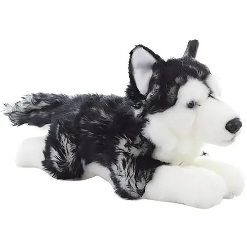Husky 36cm