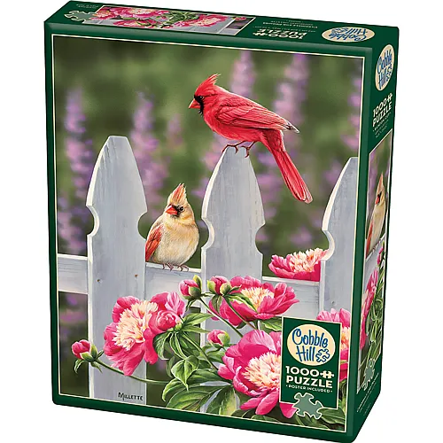Cobble Hill Puzzle Kardinals und Pfingstrosen - 1000 Teile