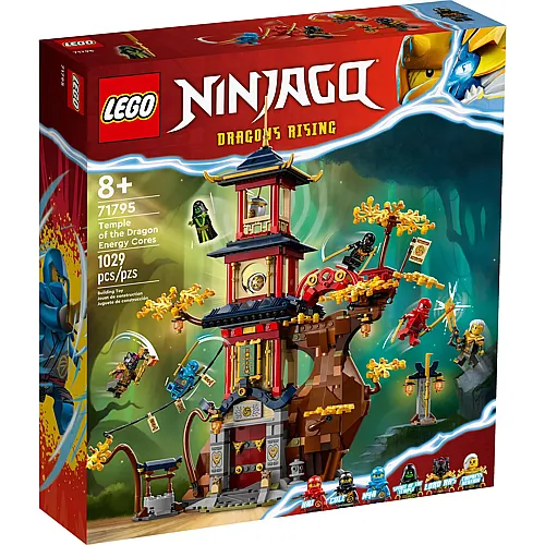 LEGO Ninjago Tempel der Drachenpower 71795