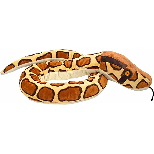 Burmese Python Schlange 137cm