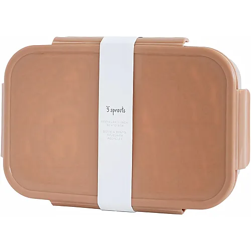 3 Sprouts Bento Box Brotdose mit F�chern - 21.5 x 14 x 6.5 cm