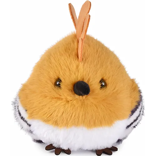 Kiwi - 15 cm