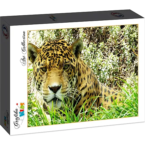 Grafika Puzzle Art Collection Grafika Kids Jaguar - 12 Teile