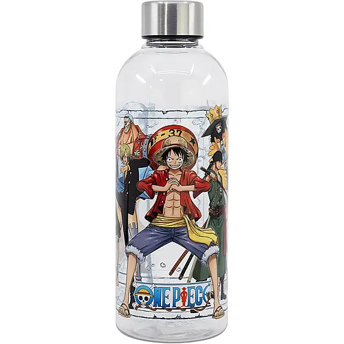 Wasserflasche 850ml