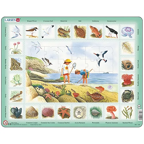 Larsen Puzzle An der K�ste (auf Englisch) - 48 Teile