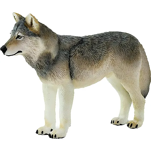 Safari Ltd. Wildlife North American Grauer Wolf