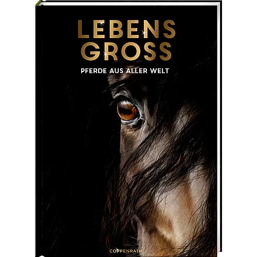 Coppenrath Lebensgro� - Pferde aus aller Welt