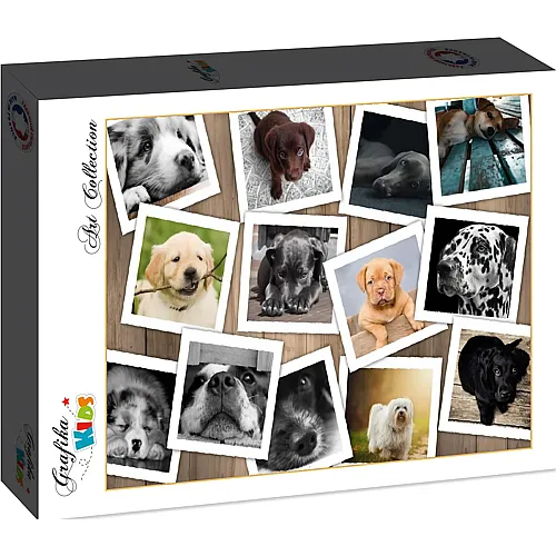 Grafika Puzzle Art Collection Grafika Kids Hunde - 12 Teile