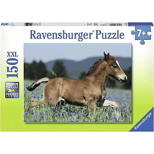 Ravensburger Puzzle Fohlen auf der Weide - 150 Teile