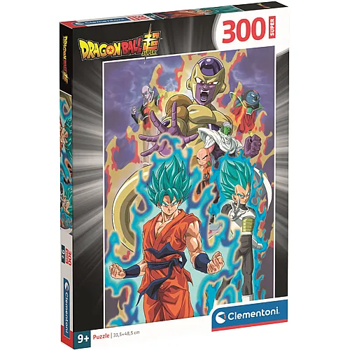 Dragon Ball 300Teile