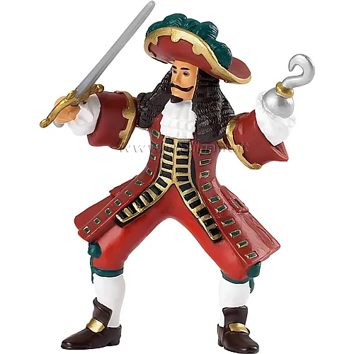 Kapitn der Piraten