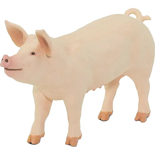 Safari Ltd. Farm Schwein
