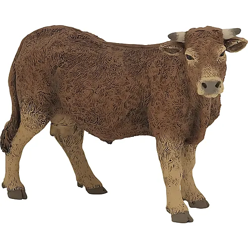 Limousin Kuh