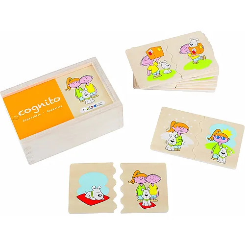Beleduc Cognito Gegens�tze
