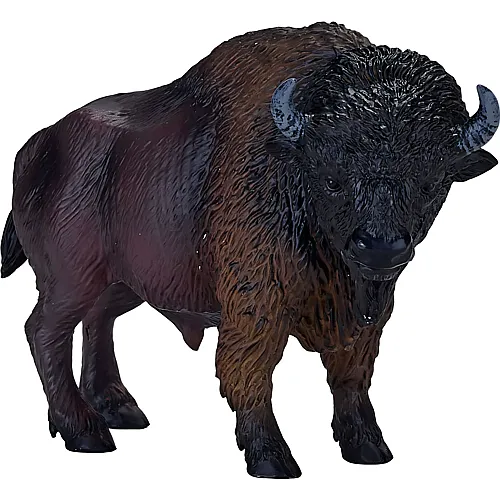 Amerikanischer Bison