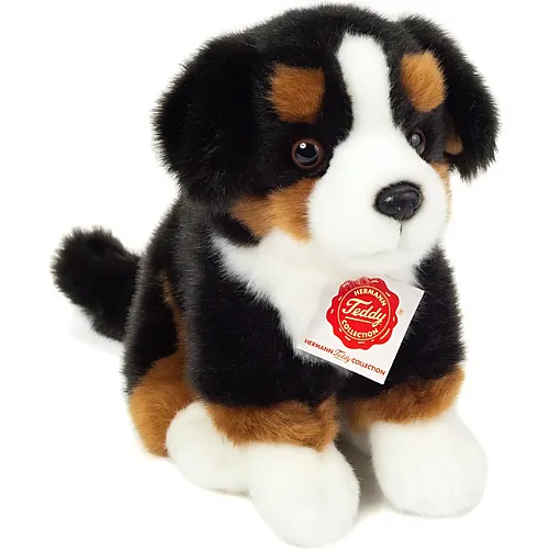 Teddy-Hermann Bovaro del Bernese seduto - 21 cm