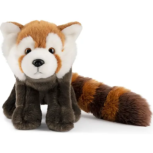 Roter Panda