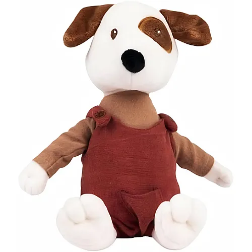 Hund Eddie mit Hose 26cm