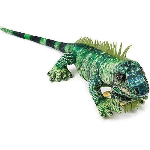 Gr�ner Leguan - 60 cm
