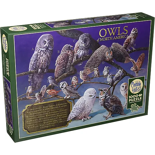Cobble Hill Puzzle Owls of North America - 1000 Teile