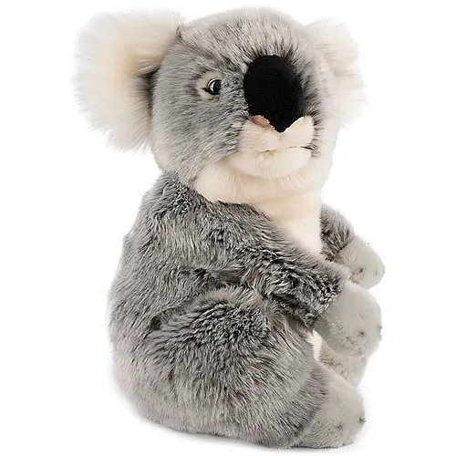Living Nature Koala (17cm)