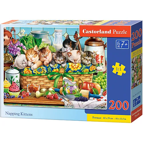 Castorland Puzzle Napping Kittens - 200 Teile