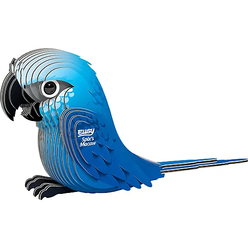 Eugy 3D Karton Figuren Spixara
