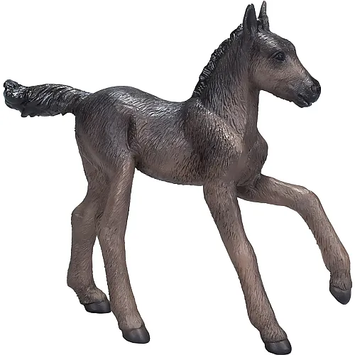 Mojo Horse World Arabisches Fohlen Schwarz