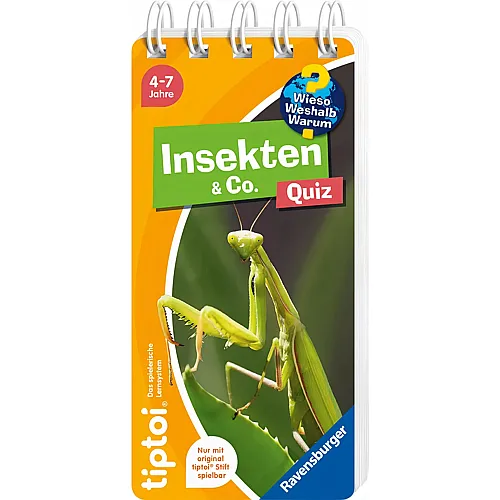 Quiz Insekten