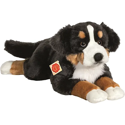 Teddy-Hermann Bovaro del Bernese sdraiato - 60 cm