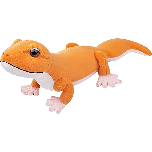 Fat Tail Eidechse - 41 cm
