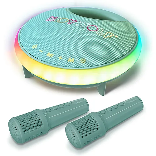 Bluetooth Karaoke Lautsprecher