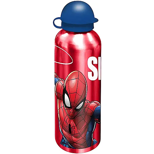 Trinkflasche Aluminium - 500 ml