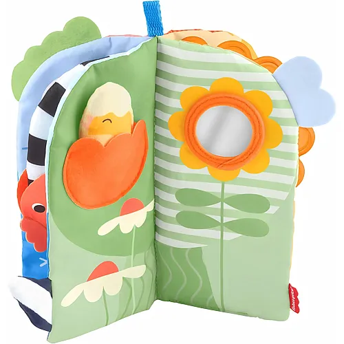 Fisher-Price Balanced Beginnings Sensory