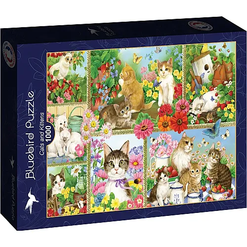 Bluebird Puzzle Katzen und Kitten - 1000 Teile