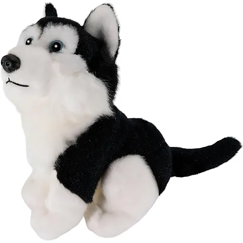Carl Dick Husky sitzend - 16 cm