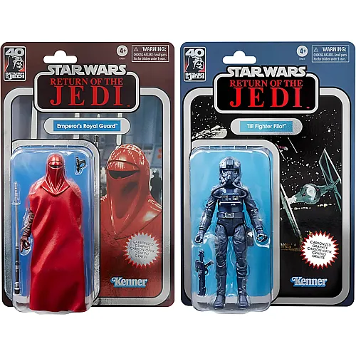 Hasbro Star Wars The Black Series Carbon-Optik Emperor�s Royal Guard & TIE Fighter Pilot, Action-Figuren (15 cm) Doppelpack