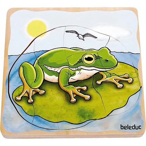 Frosch 28Teile
