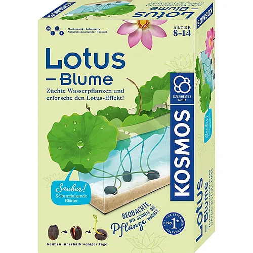 Lotus-Blume - Zchte Wasserpflanzen und erforsche den Lotus-Effekt