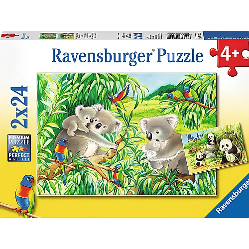Ravensburger Puzzle Ssse Koalas und Pandas (2x24)
